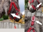 Preview: Eselhalfter  * SILBERGRAU*