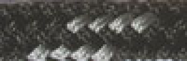 Hundeleine 2m / 2,4m 3fach sowie 2,80m 4fach verstellbar *Schwarz-Silber*